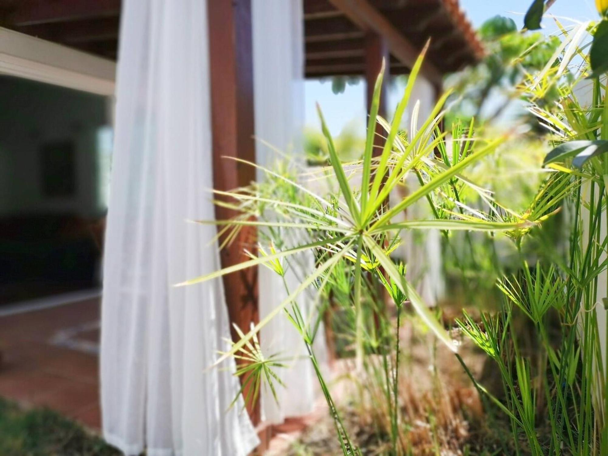 Los Porches D40 By Pride Holiday Rentals San Bartolome Bagian luar foto